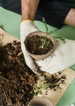 Atelier Boutures et pots , Vacances en famille, Sciences-culture